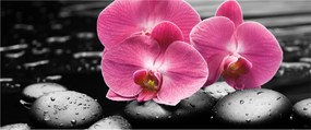 Tablou - Orhidee roz (120x50 cm)