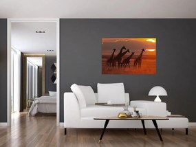 Tablou - Girafe în savana africană (90x60 cm)