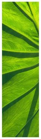 Fotojaluzele R014829R42150 (42x150 cm)
