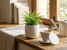 Set ceramic din doua piese, ceasca si recipient NEST 10 cm, alb