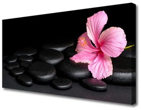 Tablou pe panza canvas Pietrele de flori Arta roz negru