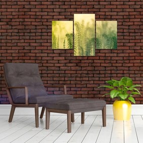 Tablou - Detaliu de primăvară natura cețoasă (90x60 cm)