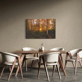 Tablou - Pădurea toamna (90x60 cm)