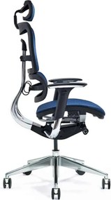 Scaun lemn masiv de birou ErgoComfort Plasă Respirabilă Albastru