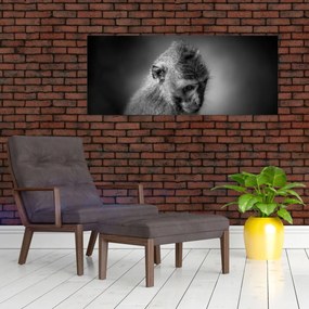 Tablou - Maimuță (120x50 cm)