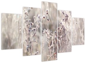 Tablou - Plante (150x105 cm)