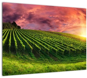 Tablou cu vie cu cerul color (70x50 cm)