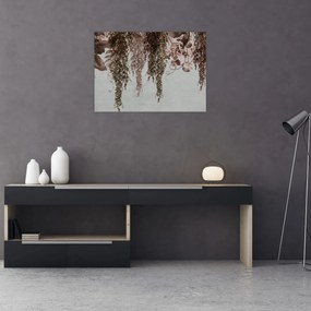 Tablou - Plante (70x50 cm)