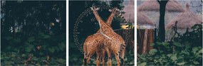 Tablou cu două girafe (cu ceas) (90x30 cm)