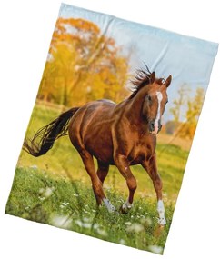Pătură din microfibră BedTex Caipe pajiște, 150 x 200 cm