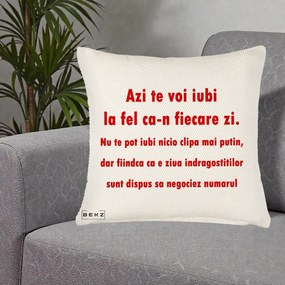 Cadou pentru Iubita - Perna Personalizata Azi Te Voi Iubi, 40x40 cm, Crem Reliefat, Husa Detasabila, Perna Inclusa, BEKZ®