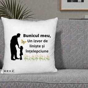 Cadou pentru Bunic - Perna Personalizata Bunicul Meu Izvor de Liniste cu Fluture si Fetita, 40x40 cm, Alb Pufos, Husa Detasabila, Perna Inclusa, BEKZ®