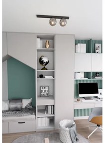 Plafonieră FIT 2xE14/10W/230V negru