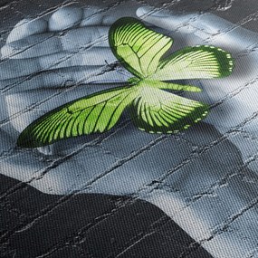 Tablou - Fluture verde în perete (90x60 cm)