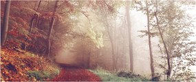 Tablou - Plimbarea de toamnă prin pădure (120x50 cm)