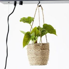 Brilliant - Lustră suspendată pe cablu BANKWOOD 5xE27/28W/230V plop