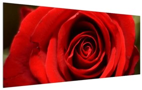 Tablou detailat cu trandafir (120x50 cm), în 40 de alte dimensiuni noi