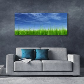 Tablou pe panza canvas Sky Grass Nature Albastru Verde