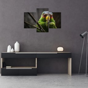 Tablou cu papagal (90x60 cm)