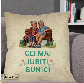Cadou pentru Bunici - Perna Personalizata Cei Mai Iubiti Bunici Cuplu pe Banca Ilustratie, 40x40 cm, Crem, Husa Detasabila, Perna Inclusa, BEKZ®