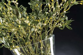 Aranjament floral design LUX, ETERNITY BOWL VISCHIO 1141792.60