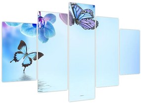Tablou - Fluture pe flori de orhidee, albastru (150x105 cm)