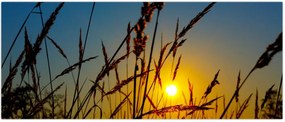 Tablou - Apus de soare pe pajiște (120x50 cm)