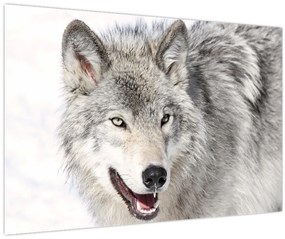 Tablou - Lupul în natură (90x60 cm)