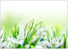 Tablou - Ghiocei (70x50 cm)