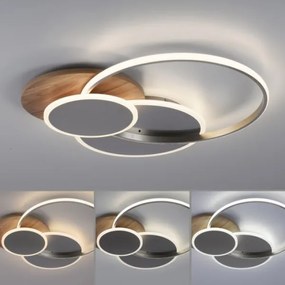 Plafonieră LED dimabilă PALMA LED/50W/230V Paul Neuhaus 8328-79 + telecomandă