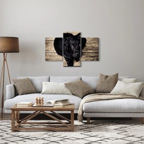 Tablou cu cățeluș negru (90x60 cm)