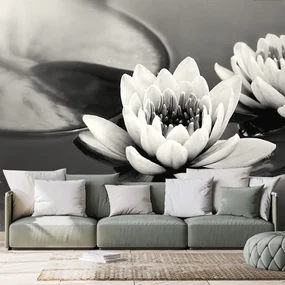 Fototapet floare de lotus în lac în alb-negru