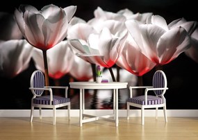 Fototapet - Flori - tonul roșu (152,5x104 cm)