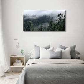 Imprimare tablou canvas Ceață pădure