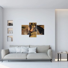 Tablou - Două zebre (90x60 cm)