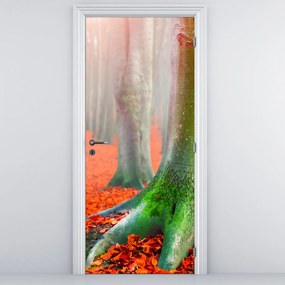 Fototapet pentru ușă - Copacii (95x205cm)