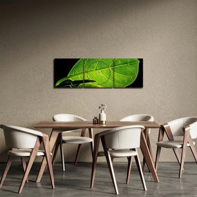 Tablou - frunză verde (cu ceas) (90x30 cm)