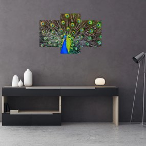 Tablou - Păun (90x60 cm)