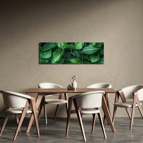 Tablou - Frunze verzi (cu ceas) (90x30 cm)