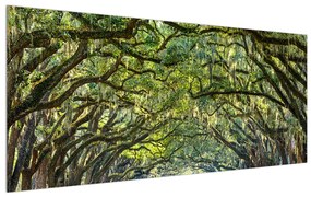 Tablou cu alee și copaci (120x50 cm), în 40 de alte dimensiuni noi