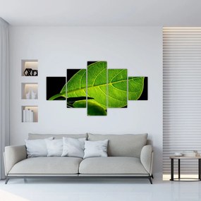 Tablou - frunză verde (125x70 cm), în 40 de alte dimensiuni noi