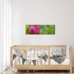 Tablou - floare de apă (cu ceas) (90x30 cm)