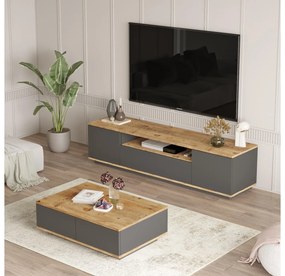 Mobilier living France 17 (Pin atlantic + antracit) . 1102145