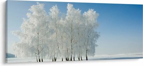 Tablou - Peisaj înzăpezit (120x50 cm)