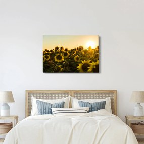 Tablou cu lan de floarea soarelui (90x60 cm)