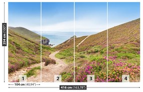 Fototapet Atlanticul Cornwall