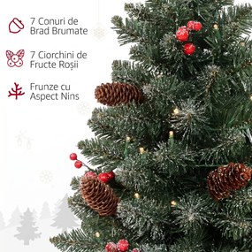 HOMCOM Mini brad de Crăciun 60 cm cu lumini integrate, 86 ramuri, conuri de pin, bobițe roșii, bază din ciment, verde | Aosom Romania