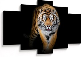 Tablou - Tiger (150x105 cm)