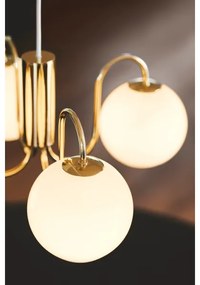 Lustră pe cablu Nordlux FRANCA 4xE14/40W/230V