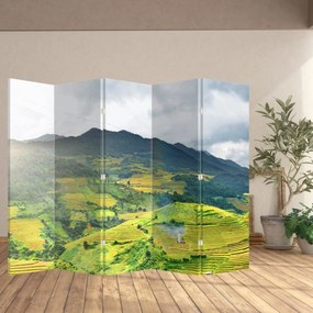 Paravan -Plantație (210x170 cm)